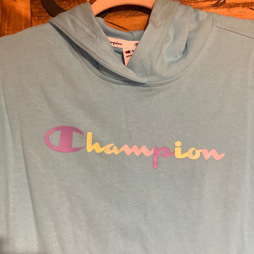 Champion Light Blue Hoodie with Pastel Multicolor Logo